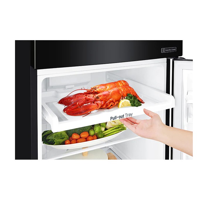 LG Kulkas Two Door 272 Liter - GN G272SXCB